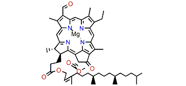 Chlorophyll d